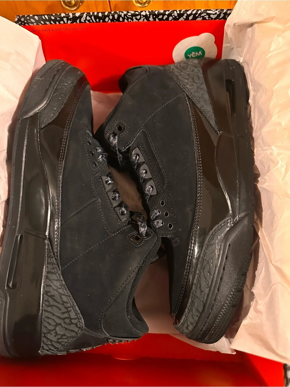 Jordan Air Jordan 3 Retro 
